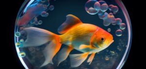 campanha politica fracassada